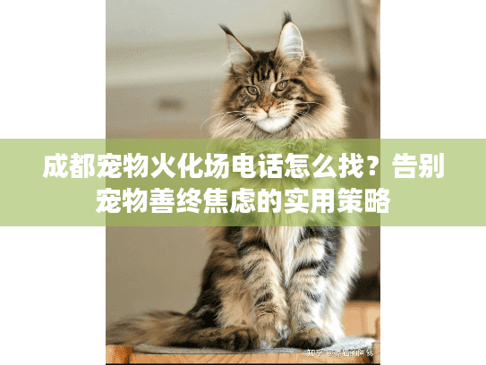 成都宠物火化场电话怎么找?告别宠物善终焦虑的实用策略 成都宠物火化场电话怎么找?告别宠物善终焦虑的实用策略