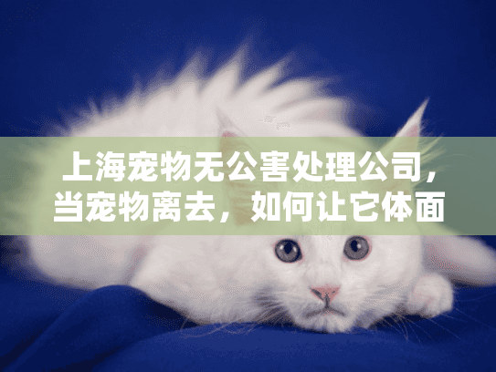 上海宠物无公害处理公司，当宠物离去，如何让它体面又环保？