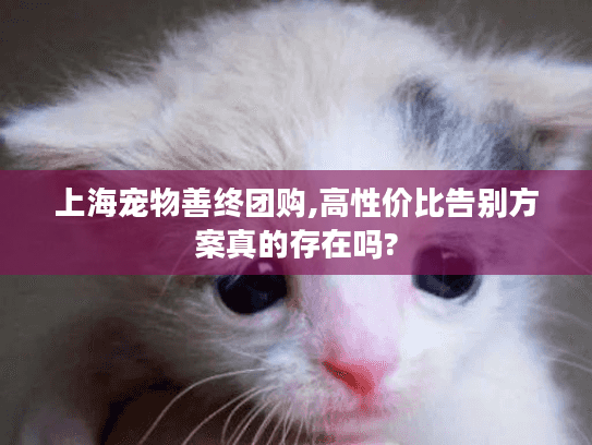 上海宠物善终团购,高性价比告别方案真的存在吗?