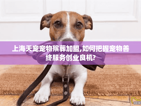 上海天宠宠物殡葬加盟,如何把握宠物善终服务创业良机?