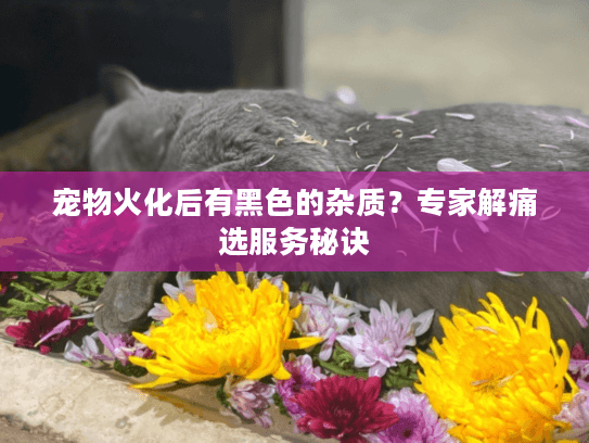 宠物火化后有黑色的杂质?专家解痛选服务秘诀 宠物火化后有黑色的杂质?专家解痛选服务秘诀