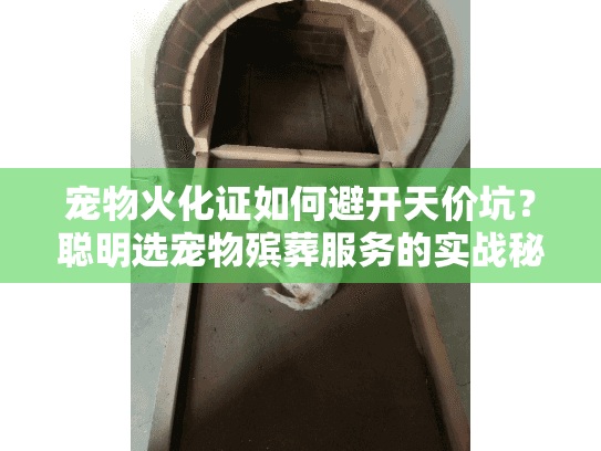 宠物火化证如何避开天价坑？聪明选宠物殡葬服务的实战秘诀