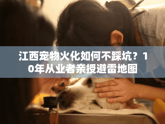 江西宠物火化如何不踩坑？10年从业者亲授避雷地图