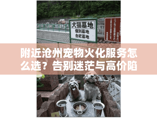 附近沧州宠物火化服务怎么选？告别迷茫与高价陷阱