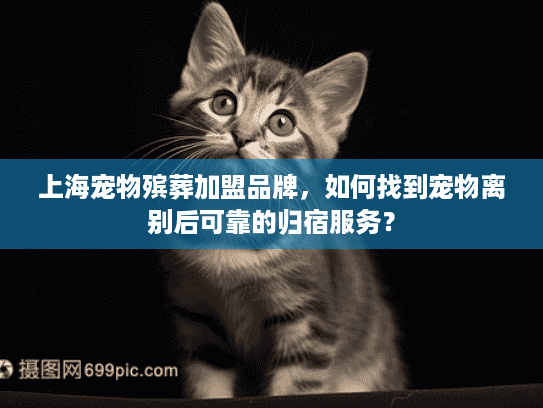 上海宠物殡葬加盟品牌，如何找到宠物离别后可靠的归宿服务？