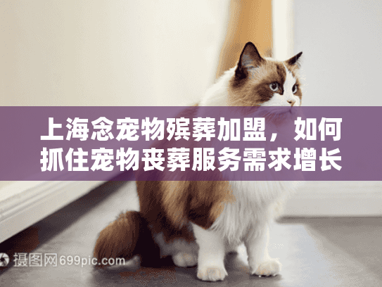 上海念宠物殡葬加盟，如何抓住宠物丧葬服务需求增长机遇？
