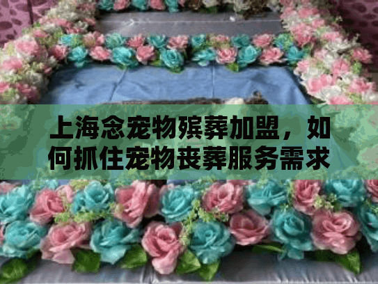 上海念宠物殡葬加盟，如何抓住宠物丧葬服务需求增长机遇？