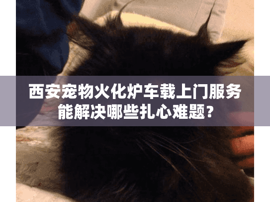 西安宠物火化炉车载上门服务能解决哪些扎心难题？