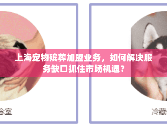 上海宠物殡葬加盟业务，如何解决服务缺口抓住市场机遇？