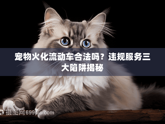 宠物火化流动车合法吗？违规服务三大陷阱揭秘