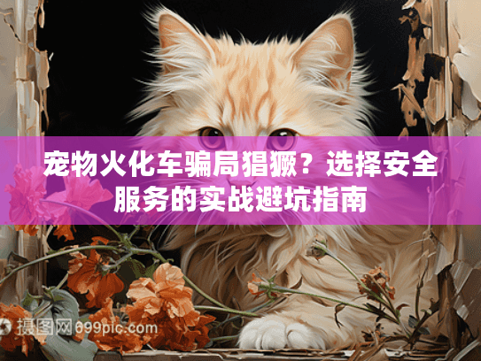 宠物火化车骗局猖獗？选择安全服务的实战避坑指南