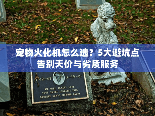 宠物火化机怎么选？5大避坑点告别天价与劣质服务