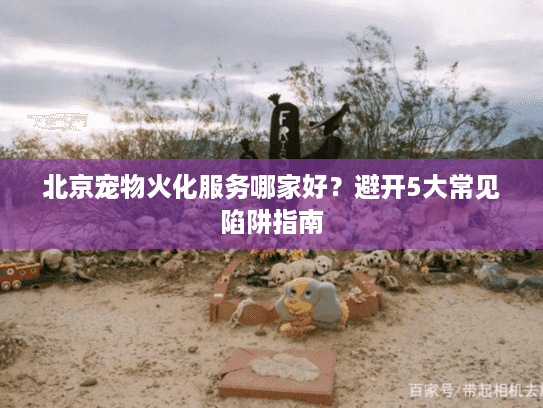 北京宠物火化服务哪家好？避开5大常见陷阱指南