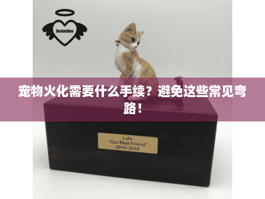 宠物火化需要什么手续？避免这些常见弯路！