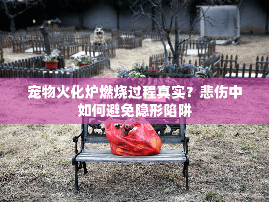 宠物火化炉燃烧过程真实？悲伤中如何避免隐形陷阱