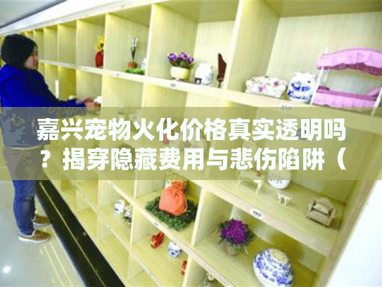 嘉兴宠物火化价格真实透明吗？揭穿隐藏费用与悲伤陷阱（附2025最新策略）