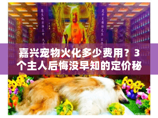 嘉兴宠物火化多少费用？3个主人后悔没早知的定价秘密