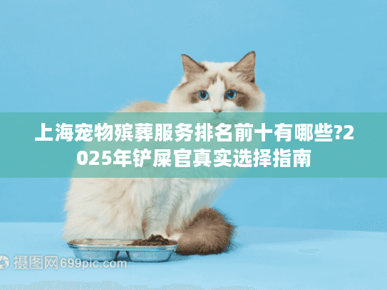 上海宠物殡葬服务排名前十有哪些?2025年铲屎官真实选择指南
