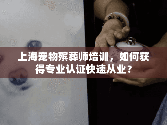 上海宠物殡葬师培训，如何获得专业认证快速从业？