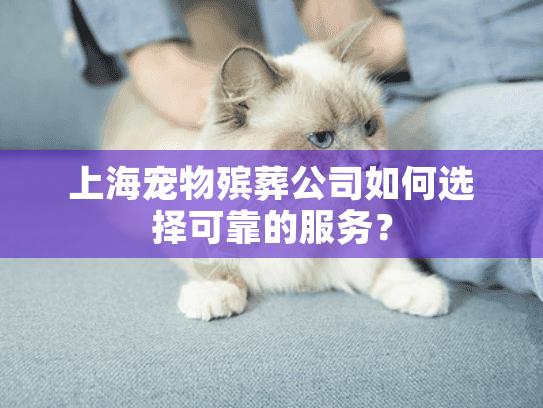 上海宠物殡葬公司如何选择可靠的服务？