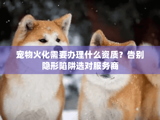 宠物火化需要办理什么资质？告别隐形陷阱选对服务商