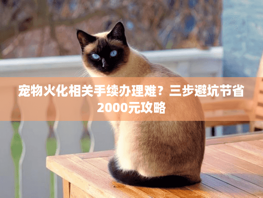 宠物火化相关手续办理难？三步避坑节省2000元攻略