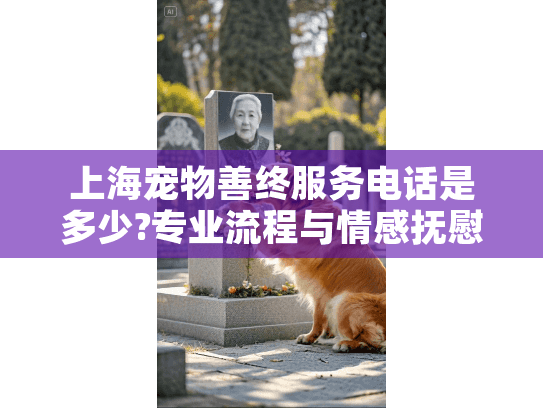 上海宠物善终服务电话是多少?专业流程与情感抚慰全解析