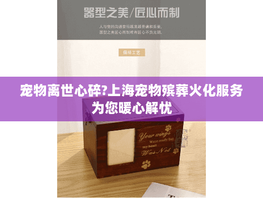 宠物离世心碎?上海宠物殡葬火化服务为您暖心解忧