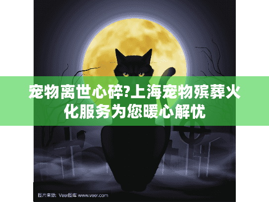宠物离世心碎?上海宠物殡葬火化服务为您暖心解忧