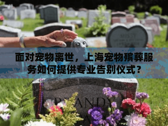 面对宠物离世，上海宠物殡葬服务如何提供专业告别仪式？