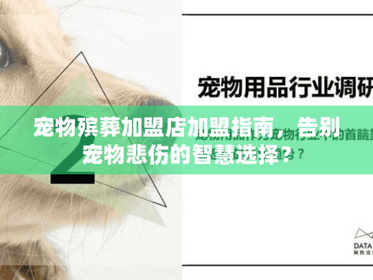 宠物殡葬加盟店加盟指南，告别宠物悲伤的智慧选择？
