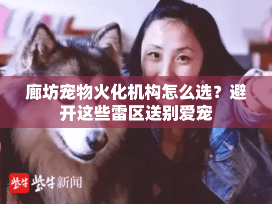 廊坊宠物火化机构怎么选？避开这些雷区送别爱宠