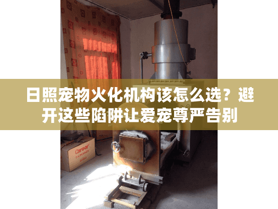 日照宠物火化机构该怎么选？避开这些陷阱让爱宠尊严告别