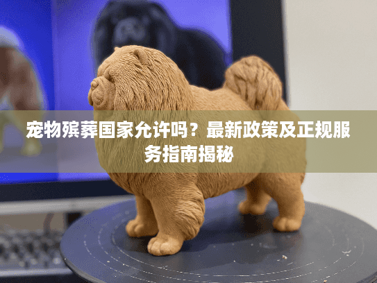 宠物殡葬国家允许吗？最新政策及正规服务指南揭秘