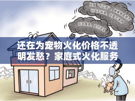 还在为宠物火化价格不透明发愁？家庭式火化服务全流程解密