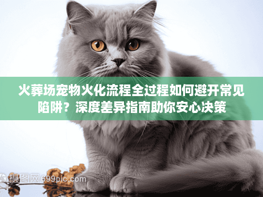 火葬场宠物火化流程全过程如何避开常见陷阱？深度差异指南助你安心决策