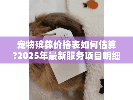 宠物殡葬价格表如何估算?2025年最新服务项目明细与费用解析