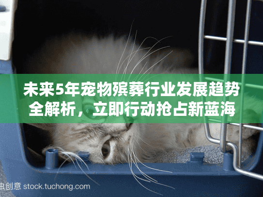 未来5年宠物殡葬行业发展趋势全解析，立即行动抢占新蓝海！