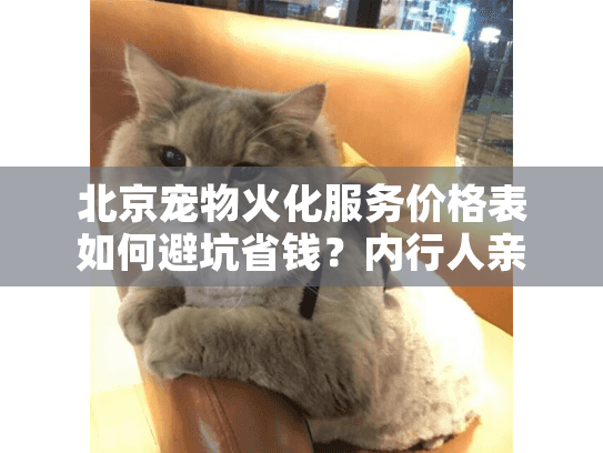 北京宠物火化服务价格表如何避坑省钱？内行人亲授秘籍