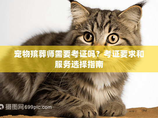 宠物殡葬师需要考证吗？考证要求和服务选择指南