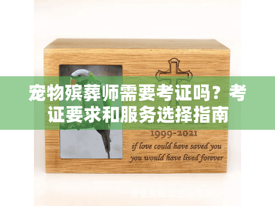 宠物殡葬师需要考证吗？考证要求和服务选择指南