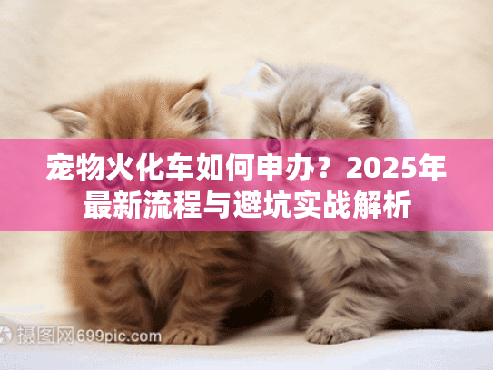 宠物火化车如何申办？2025年最新流程与避坑实战解析