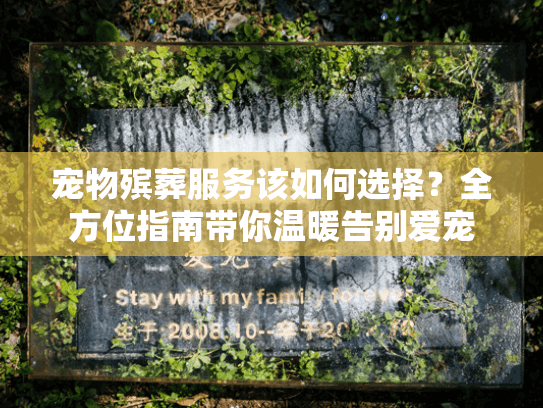 宠物殡葬服务该如何选择？全方位指南带你温暖告别爱宠