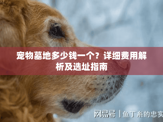 宠物墓地多少钱一个？详细费用解析及选址指南