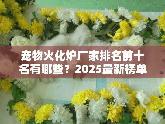 宠物火化炉厂家排名前十名有哪些？2025最新榜单与避坑指南揭秘