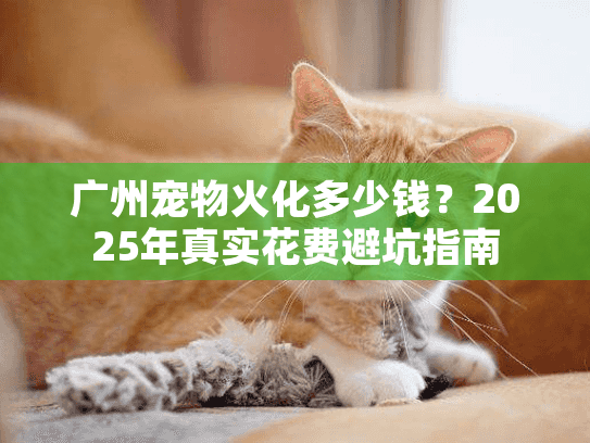广州宠物火化多少钱？2025年真实花费避坑指南
