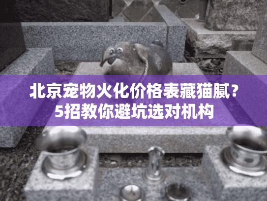 北京宠物火化价格表藏猫腻？5招教你避坑选对机构