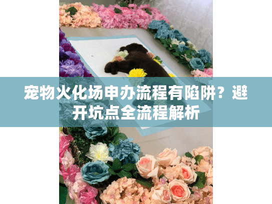 宠物火化场申办流程有陷阱？避开坑点全流程解析
