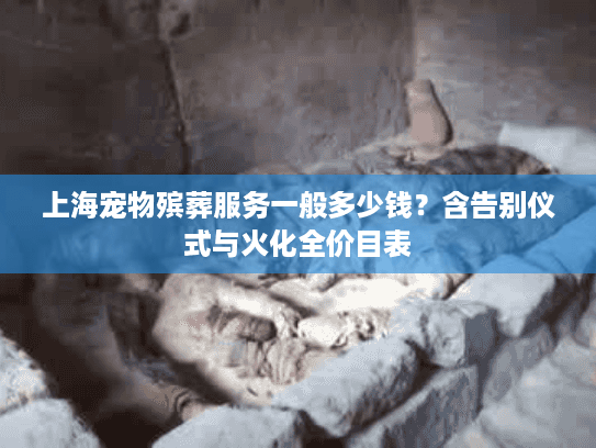 上海宠物殡葬服务一般多少钱？含告别仪式与火化全价目表