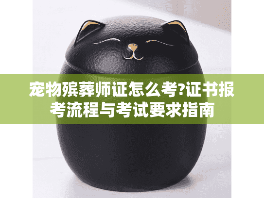宠物殡葬师证怎么考?证书报考流程与考试要求指南